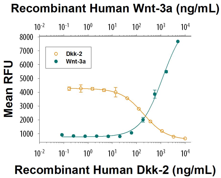 Bioactivity Dkk-2 [Unconjugated]