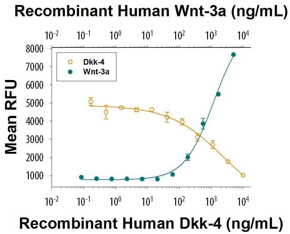 Recombinant Human Wnt-3a (Catalog # 5036-WN) induces a dose responsive increase in Wnt reporter activity in HEK293 cells (green circles). Recombinant Human Dkk-4 (Catalog # 1269-DK/CF) inhibits a constant dose of 500 ng/mL of Recombinant Human Wnt-3a. The ED50 for this effect is 150-900 ng/mL (orange circles).
