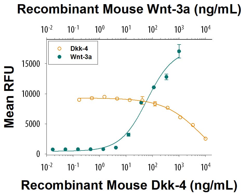 Bioactivity Dkk-4 [Unconjugated]