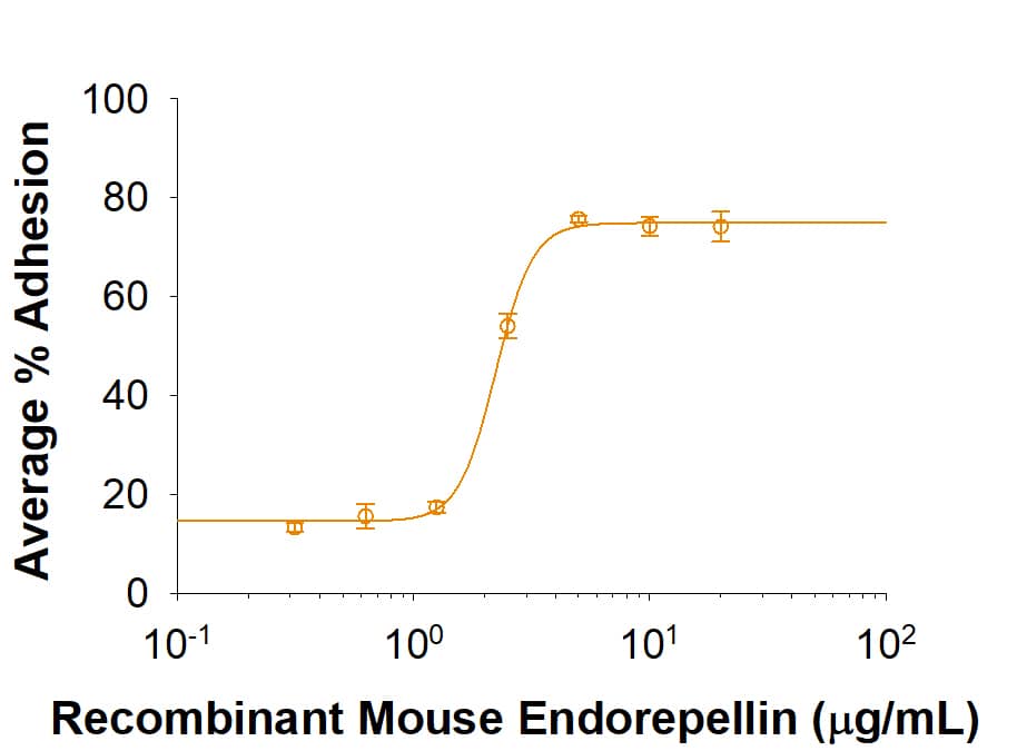 Immobilized Recombinant Mouse Endorepellin supports the adhesion of SVEC4‑10 mouse vascular endothelial cells. The ED50 for this effect is 0.75-4.5 μg/mL.