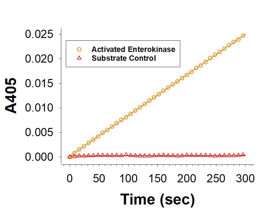 Recombinant Human Enteropeptidase/Enterokinase (Catalog # 10438-SE) is measured by its ability to cleave a colorimetric peptide substrate, Z-Lys-SBzl.