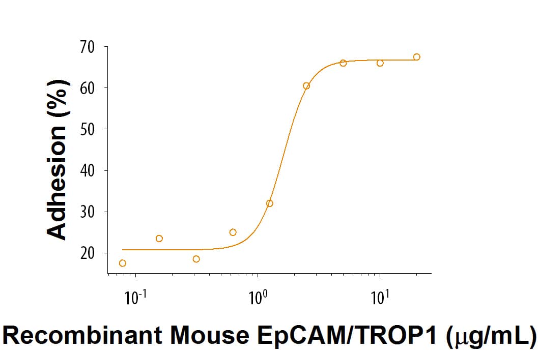 Immobilized Recombinant Mouse EpCAM/TROP1 (Catalog # 9364-EP) enhances L Cells mouse fibroblasts adhesion in the presence of Human Fibronectin (Catalog # 1918-FN). The ED50 for this effect is 0.4-2.4 µg/mL.