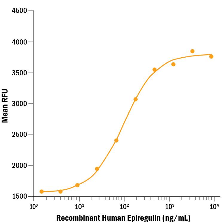 Recombinant Human Epiregulin (Catalog # 1195-EP/CF) stimulates proliferation in the Balb/3T3 mouse embryonic fibroblast cell line. The ED50 is 0.125-0.75 ng/mL.