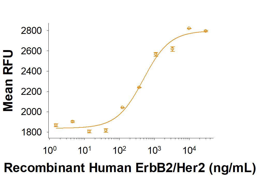 Bioactivity ErbB2/Her2 [Unconjugated]