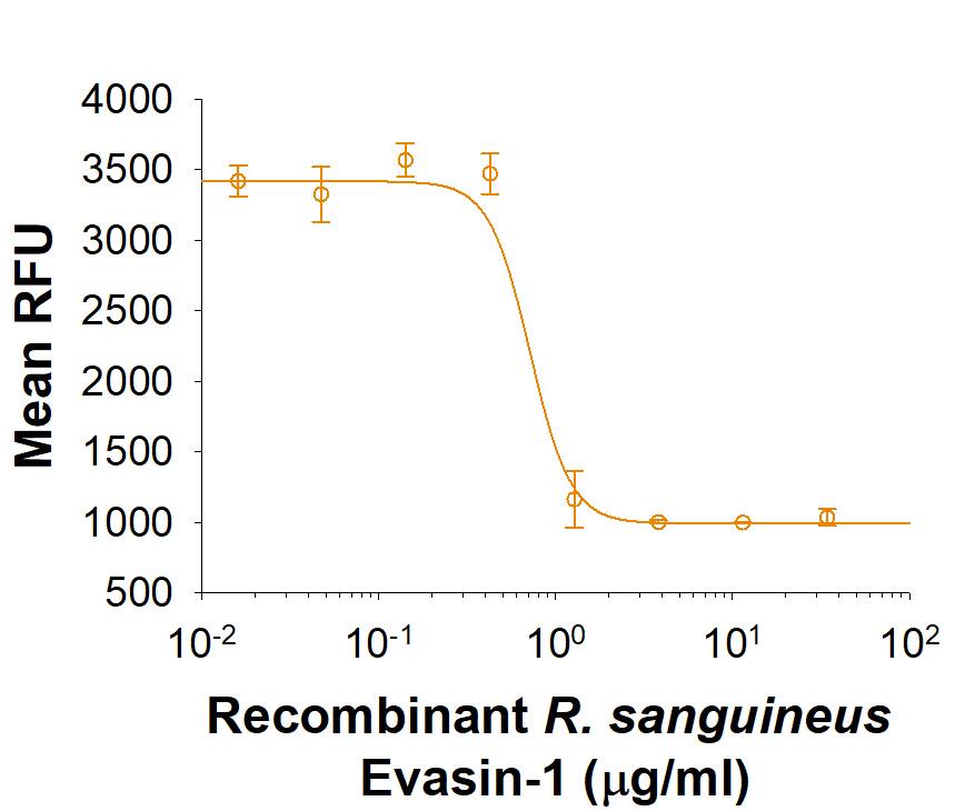 Recombinant R. sanguineus Evasin-1 Fc Chimera (Catalog # 10016-EV) inhibits Recombinant Human CCL-3/MIP-1 alpha -induced chemotaxis of BaF3 mouse pro B cells transfected with human CCR5. The ED50 for this effect is 0.2-1.2 μg/mL.