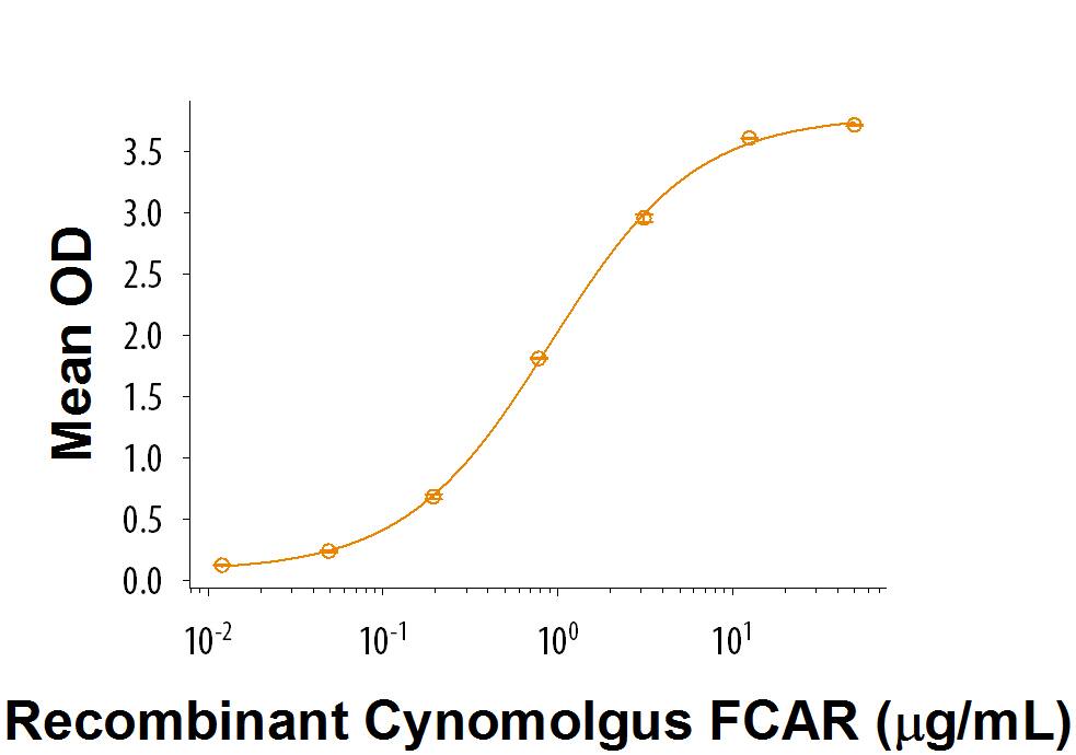 Bioactivity FCAR/CD89 [Unconjugated]