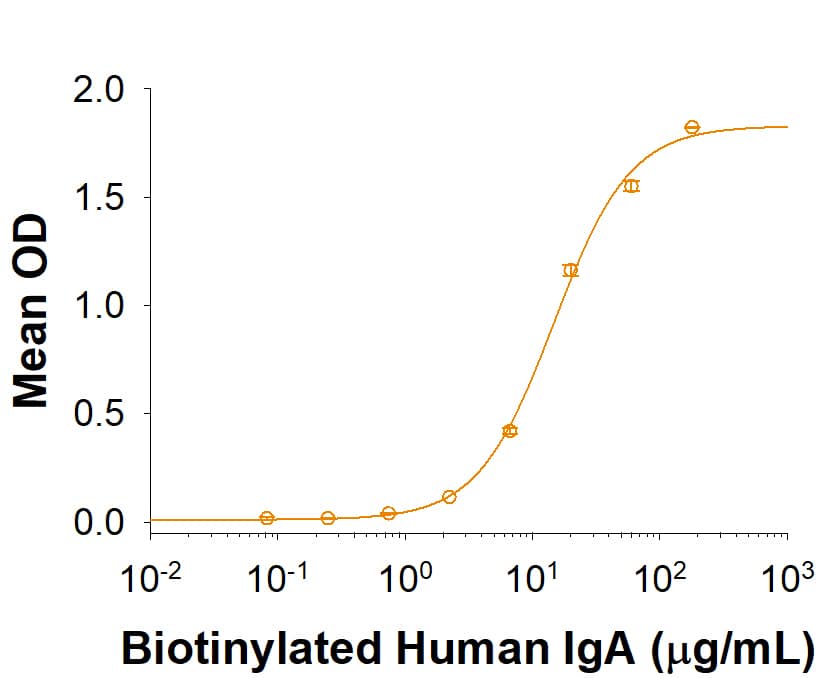 Binding Activity FCRL4/FcRH4/IRTA1 [Unconjugated]