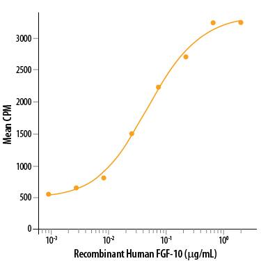Recombinant Human FGF-10 (Catalog # 345-FG/CF) stimulates cell proliferation of the 4MBr‑5 rhesus monkey epithelial cell line. The ED50 for this effect is 20-100 ng/mL.