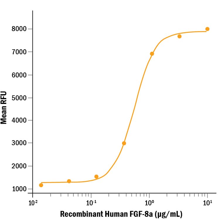 Recombinant Human FGF-8a (Catalog # 4745-F8) stimulates cell proliferation of the NR6R‑3T3 mouse fibroblast cell line. The ED50 for this effect is 0.25-1.5 μg/mL in the presence of 10 μg/mL heparin.