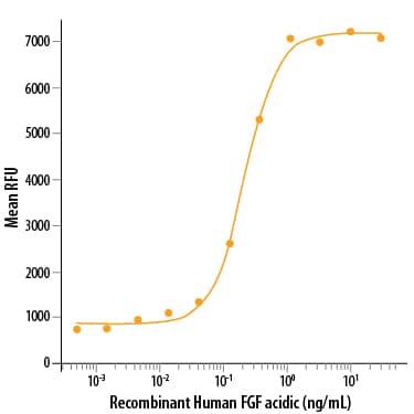 Bioactivity FGF acidic/FGF1 [Unconjugated]