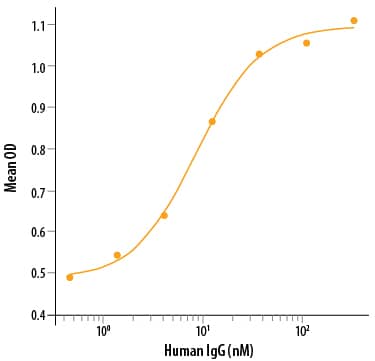 Recombinant Human Fc gamma  RIIA/CD32a (R167) (Catalog # 1330-CD) binds human IgG with an estimated KD<80 nM.