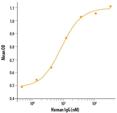 Recombinant Human Fc gamma  RIIA/CD32a (R167) (Catalog # 1330-CD/CF) binds human IgG with an estimated KD<80 nM.