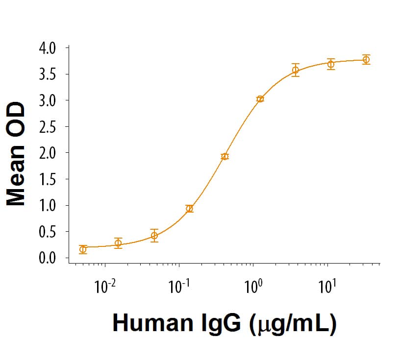 When Recombinant Human Fc gamma  RIIA/CD32a (H167) (Catalog # 9595-CD) is coated at 1 μg/mL, 100 μL/well, it binds to human IgG with an ED50 of 0.25-1.25 μg/mL.