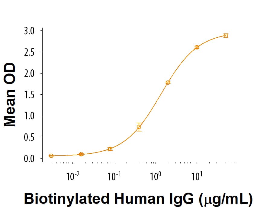 Bioactivity Fc gamma RIIB/CD32b [Unconjugated]