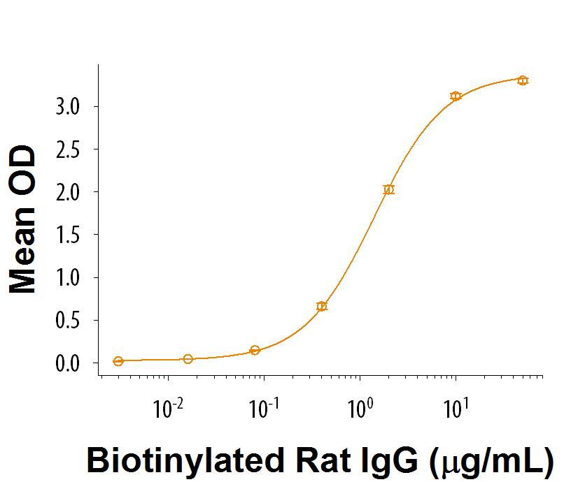 Bioactivity Fc gamma RIIB/CD32b [Unconjugated]