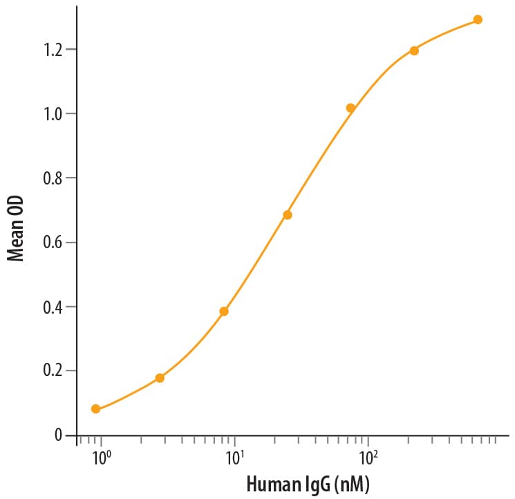 Binding Activity Fc gamma RIIIA/CD16a [Unconjugated]