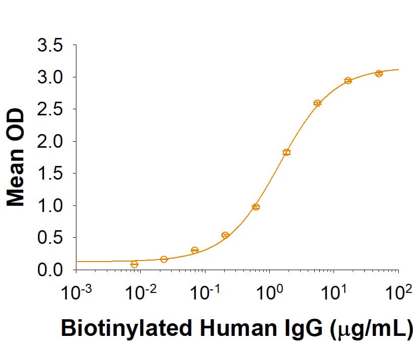 When Recombinant Human Fc gamma  RIIIa/CD16a (V176F) was immobilize on a Ms x PolyHis coated plate, it binds biotinylated Human IgG with an ED50 of 0.5-2.5 μg/mL.