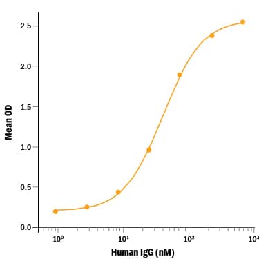 Recombinant Human Fc gamma  RIIIB/CD16b (Catalog # 1597-FC) binds human IgG with an estimated Kd<150 nM.