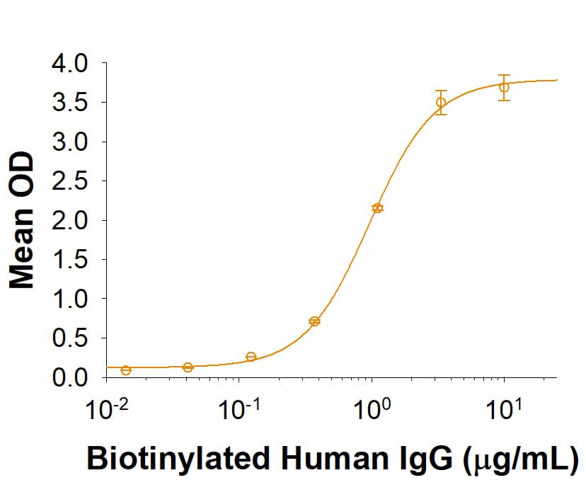 Binding Activity Fc gamma RIIIB/CD16b [Unconjugated]