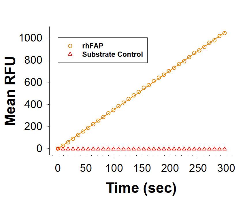 Enzyme Activity Fibroblast Activation Protein alpha/FAP [Unconjugated]