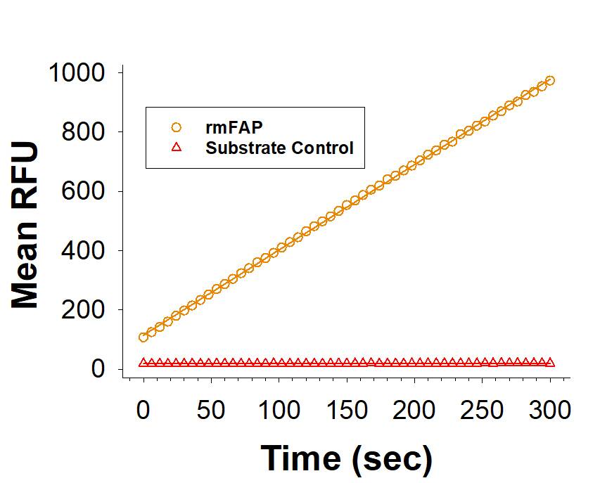 Enzyme Activity Fibroblast Activation Protein alpha/FAP [Unconjugated]