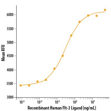 Recombinant Human Flt-3 Ligand (Catalog # 308-FKN) stimulates cell proliferation in the BaF3 mouse pro-B cell line transfected with mouse Flt-3. The ED50 for this effect is 0.2-1 ng/mL.