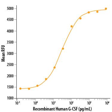 Recombinant Human G-CSF (Catalog # 214-CS) stimulates cell proliferation of the NFS-60 mouse myelogenous leukemia lymphoblast cell line. The ED50 for this effect is 10-60 pg/mL.