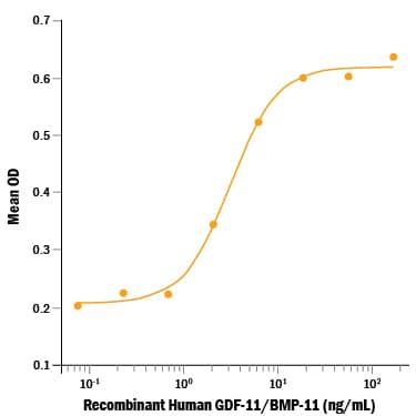Bioactivity GDF-11/BMP-11 [Unconjugated]