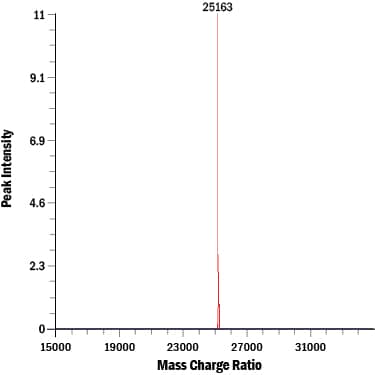 Mass Spectrometry GDF-11/BMP-11 [Unconjugated]