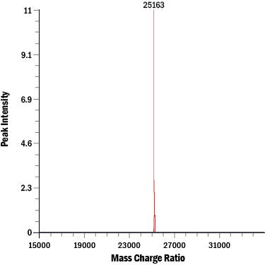 ESI analysis of Recombinant Human/Mouse/Rat GDF-11/BMP-11. The peak at 25163 Da corresponds to the calculated molecular mass of the disulfide-linked homodimer.