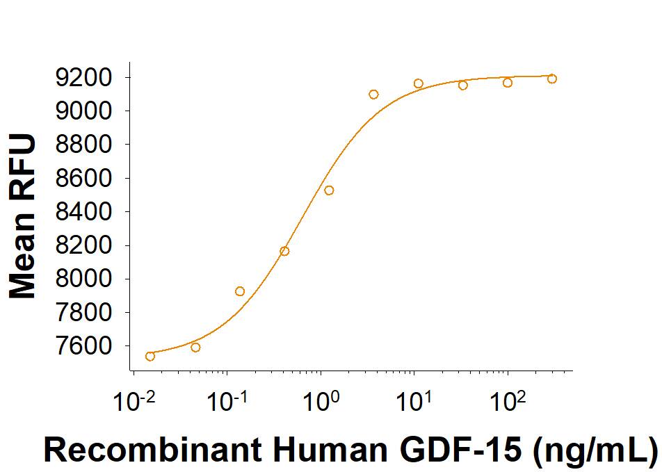 Recombinant Human GDF-15 (Catalog # 957-GD/CF) activates SRE-SEAP reporter in HEK293 human embryonic kidney cells transfected with human c-Ret and human GFRAL. 