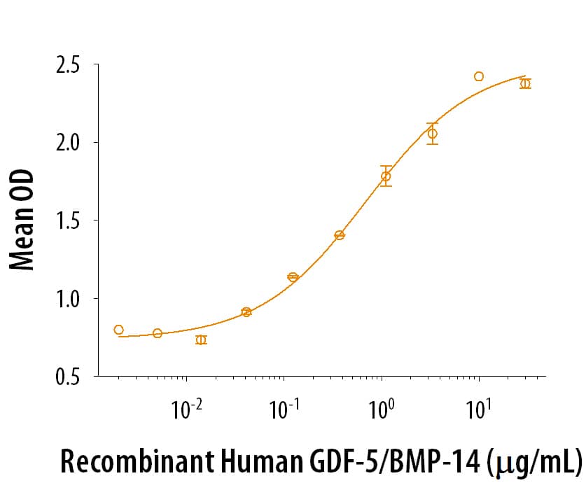Bioactivity GDF-5/BMP-14 [Unconjugated]