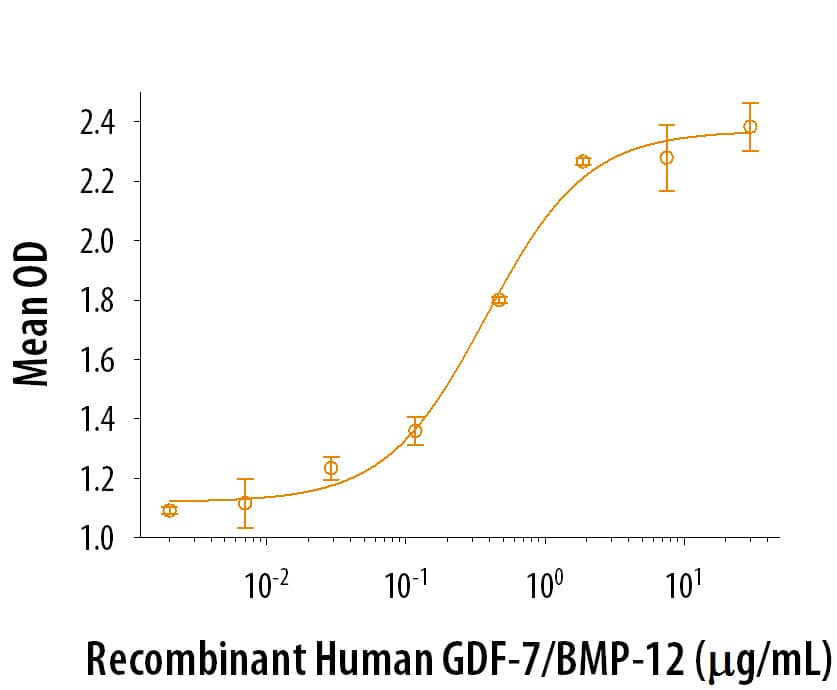 Bioactivity GDF-7/BMP-12 [Unconjugated]