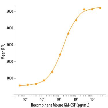 Recombinant Mouse GM-CSF (Catalog # 415-ML/CF) stimulates cell proliferation of the DA3 mouse myeloma cell line. The ED50 for this effect is 5-30 pg/mL.