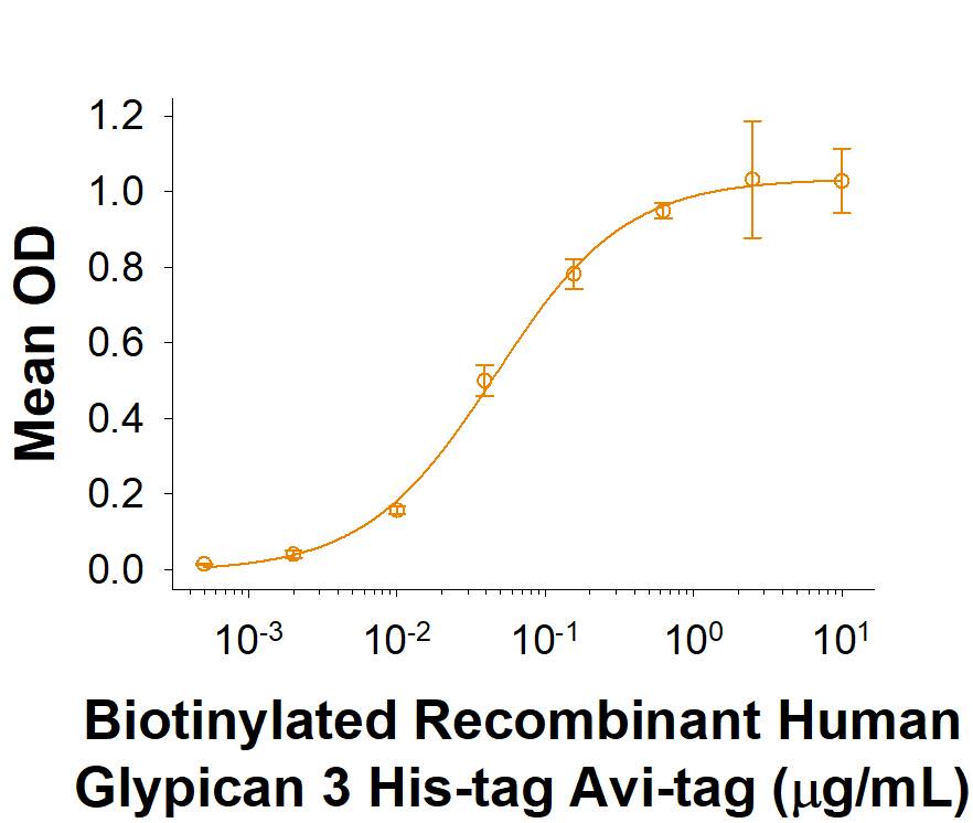 When Recombinant Human FGF basic/FGF2/bFGF (146aa) Protein (233-FB/CF) is immobilized at 0.1 μg/mL (100 μL/well), Biotinylated Recombinant Human Glypican-3 His-tag Avi-tag (AVI2119) binds with an ED50 of 20-120 ng/mL.