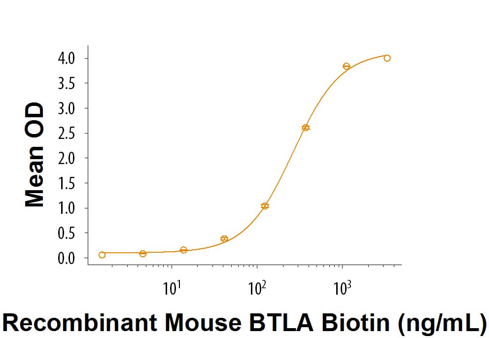 When Recombinant Cymomologus HVEM/TNFRSF14 Fc Chimera (Catalog # 9197-HV) is coated at 2 μg/mL, Recombinant Biotinylated Mouse BTLA Fc Chimera binds with a typical ED50 of 150-750 ng/mL.