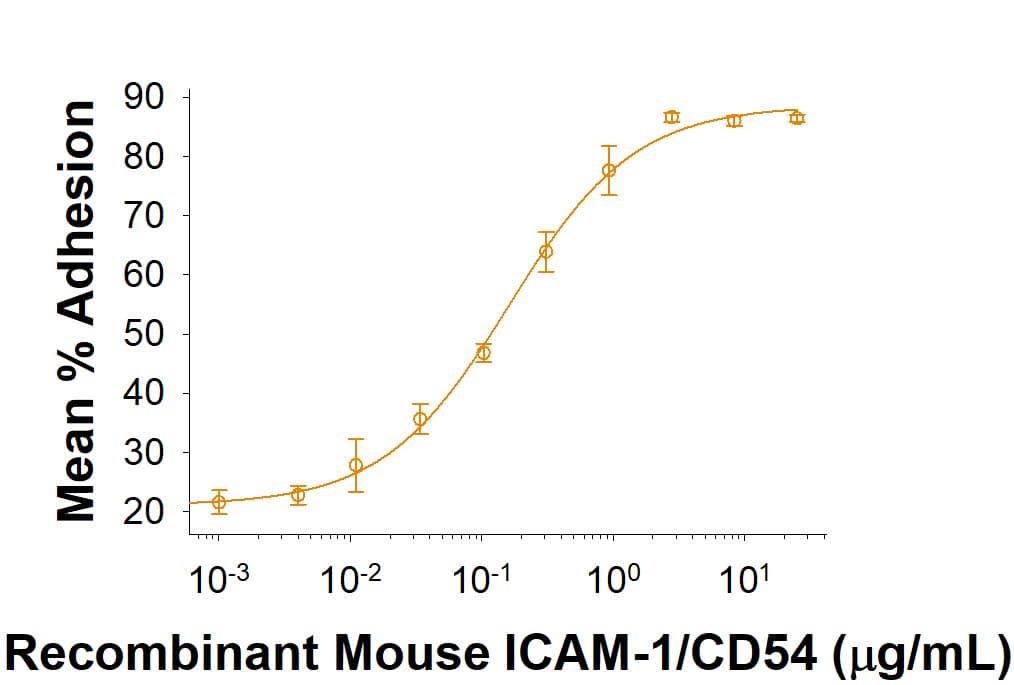 Recombinant Mouse ICAM-1/CD54 His-tag Protein (Catalog # 10304-IC) supports the adhesion of HSB2 human peripheral blood acute lymphoblastic leukemia cells. The ED50 for this effect is 0.075-0.6 μg/mL.