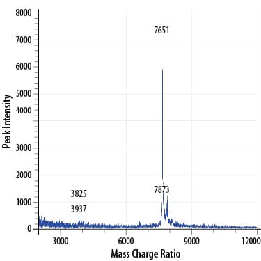 Mass Spectrometry IGF-I/IGF-1 [Unconjugated]