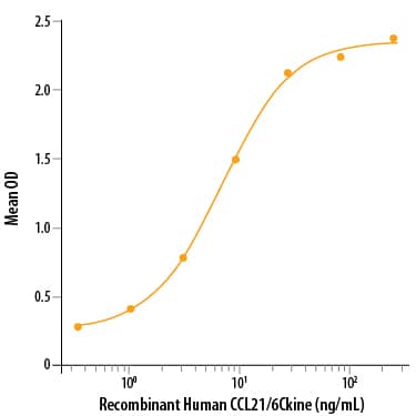Binding Activity IGFBP-rp1/IGFBP-7 [Unconjugated]