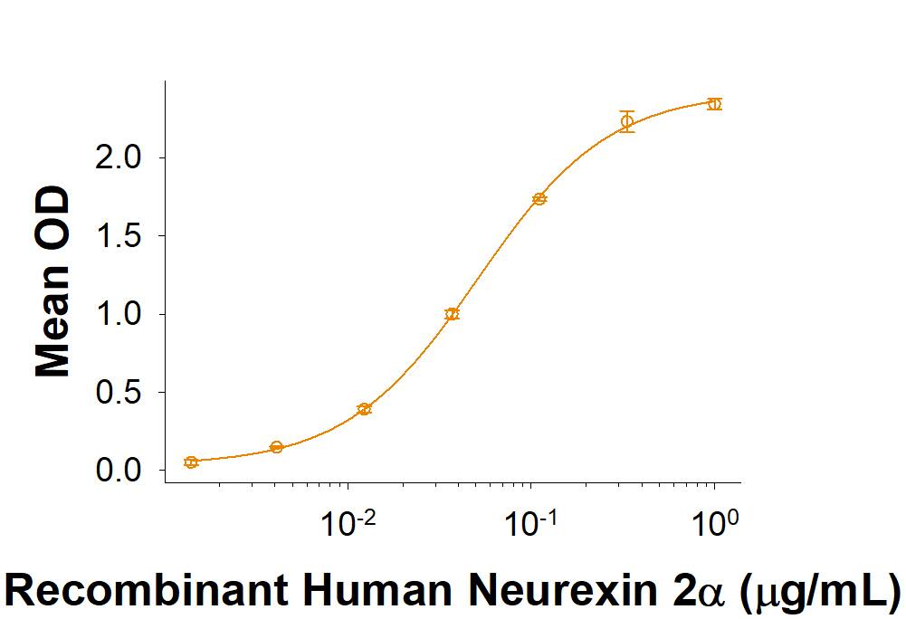 When Recombinant IGSF21 His-tag (Catalog # 10330-S2) is immobilized at 1 µg/mL (100 µL/well), Recombinant Human Neurexin 2 alpha Isoform 2 Fc Chimera (Catalog # 6636-NX) binds with an ED50 of 20-120 ng/mL.