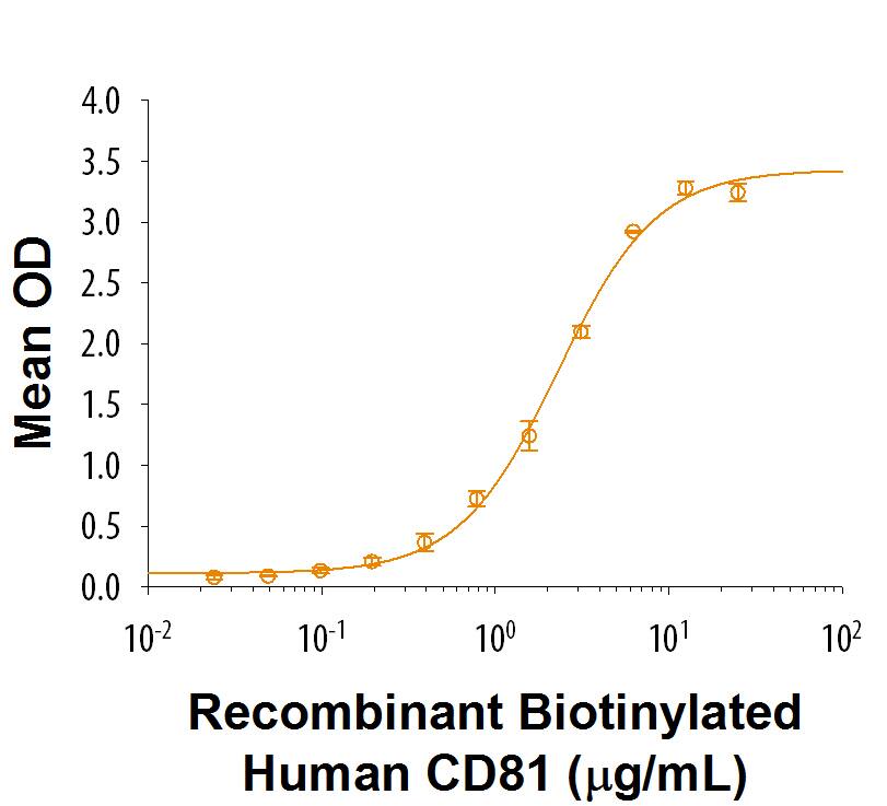 When Recombinant Human IGSF8/CD316 Fc Chimera (Catalog # 1241-S8) is immobilized at 1 µg/mL (100 µL/well), Biotinylated Recombinant CD81 Fc Chimera binds with an ED50 of 1.2-7.2 μg/mL.