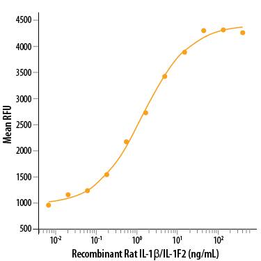 Recombinant Rat IL-1 beta /IL-1F2 (Catalog # 501-RL/CF) stimulates cell proliferation of the D10.G4.1 mouse helper T cell line. The ED50 for this effect is 0.300-1.50 ng/mL.