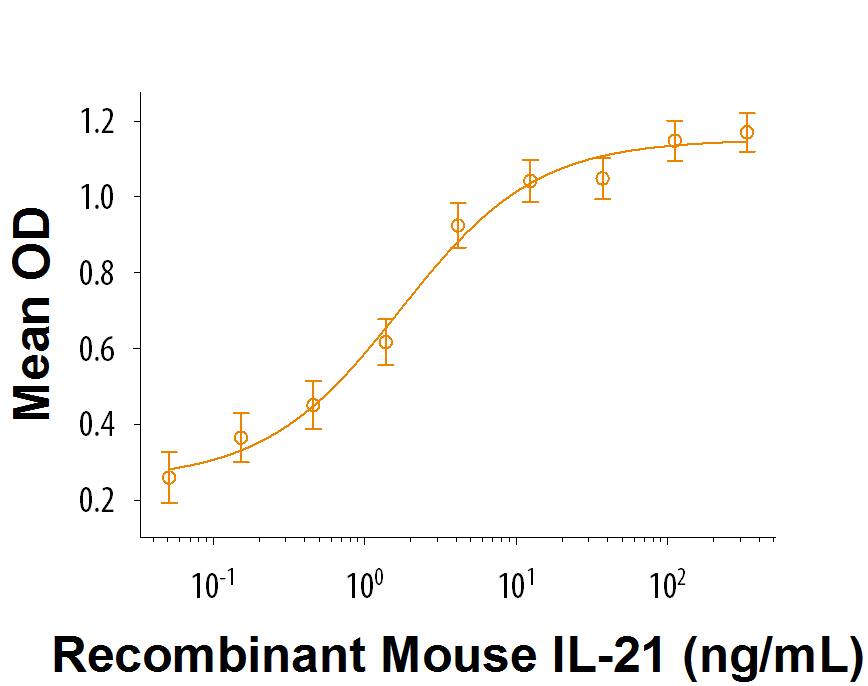 Recombinant Mouse IL-21 (Catalog # 594‑ML) enhances IFN-gamma  secretion in NK-92 human natural killer lymphoma cells. The ED50 is 3-30 ng/mL.