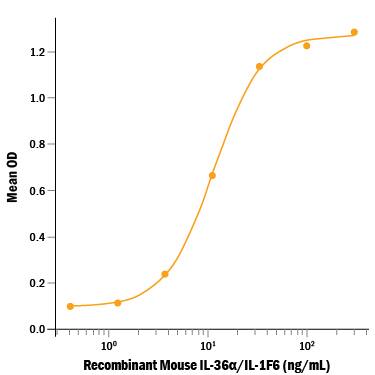 Recombinant Mouse IL-36 alpha /IL-1F6 (aa 8‑160) (Catalog # 7059-ML/CF) induces IL‑6 secretion in the NIH‑3T3 mouse embryonic fibroblast cell line. The ED50 for this effect is 3-18 ng/mL.