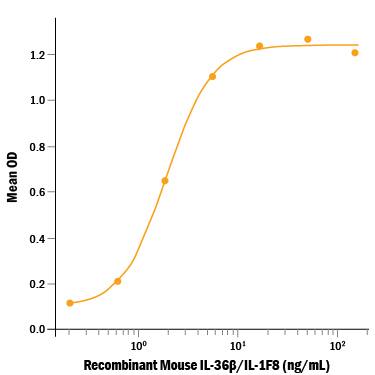 Recombinant Mouse IL-36 beta /IL-1F8 (aa 31-183) (Catalog # 7060-ML/CF) induces IL-6 secretion in the NIH‑3T3 mouse embryonic fibroblast cell line. The ED50 for this effect is 1-6 ng/mL.