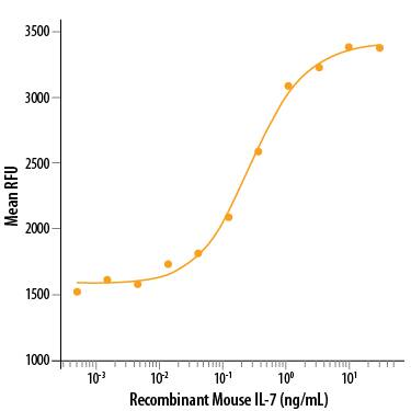 Recombinant Mouse IL-7 (Catalog # 407-ML/CF) stimulates cell proliferation of PHA-activated human peripheral blood lymphocytes. The ED50 for this effect is 0.15-0.3 ng/mL.