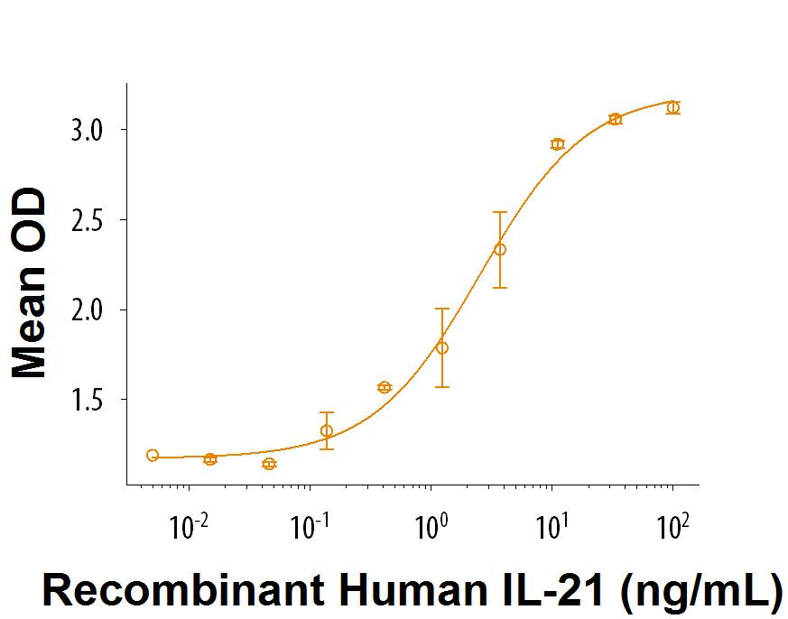 Recombinant Human IL-21 (Catalog # 8879-IL/CF) enhances IFN-gamma  secretion in NK-92 human natural killer lymphoma cells. The ED50 for this effect is ≤ 8 ng/mL.