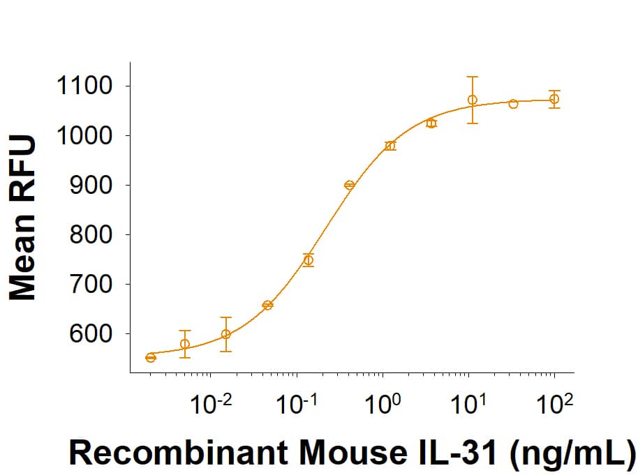 Mammalian-expressed Recombinant Mouse IL-31 (Catalog # 10409-ML) induces STAT3 reporter activity in HEK293 human embryonic kidney cells transfected with mouse IL-31RA and OSMR beta. The ED50 for this effect is 0.05-0.4 ng/mL.