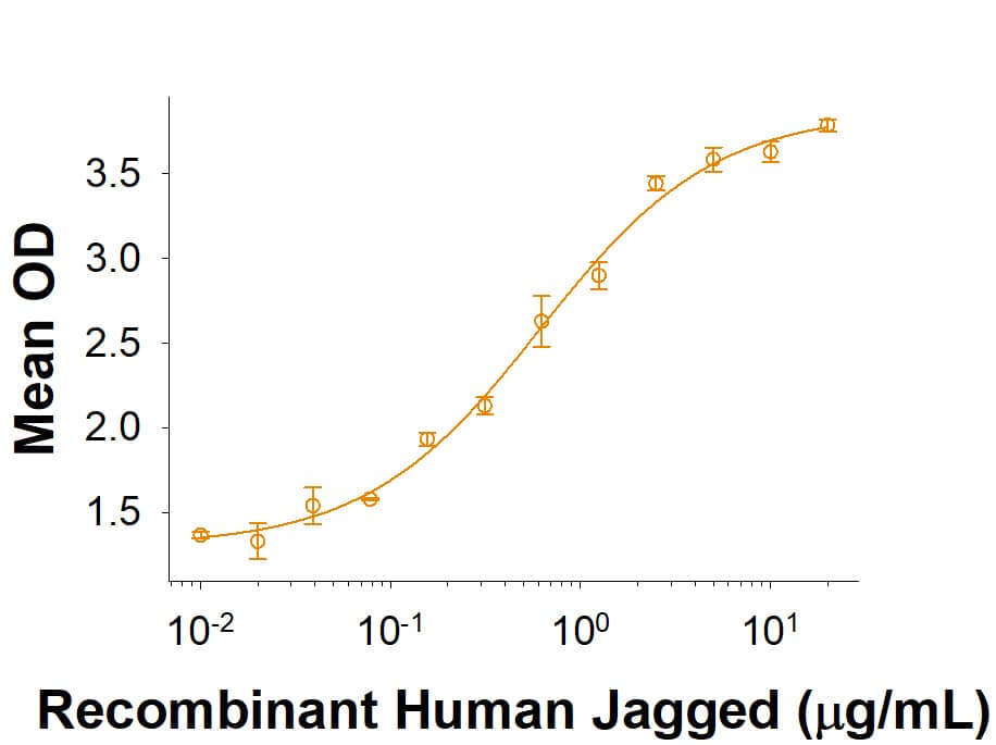 Immobilized Recombinant Human Jagged 1 N-Terminal Fc Chimera (Catalog # 10111-JG) enhances Recombinant Human/Mouse/Rat BMP-2 (Catalog # 355-BM) induced alkaline phosphatase activity in C3H10T1/2 mouse embryonic fibroblast cells. The ED50 for this effect is 0.3-1.8 µg/mL.