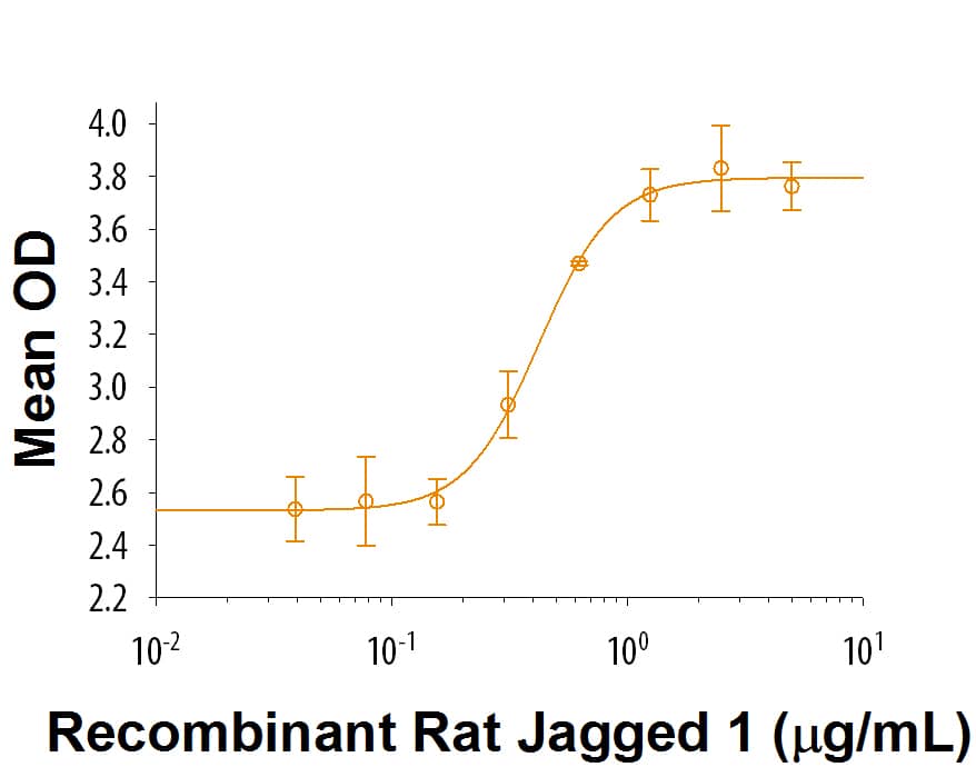 Immobilized Recombinant Rat Jagged 1 (Catalog # 9907-JG) enhances Recombinant Human/Mouse/Rat BMP-2 Recombinant Human BMP-2 (Catalog # 355-BM) alkaline phosphatase inducing activity in C3H10T1/2 mouse embryonic fibroblast cells. The ED50 for this effect is 0.4-2.4 µg/mL.